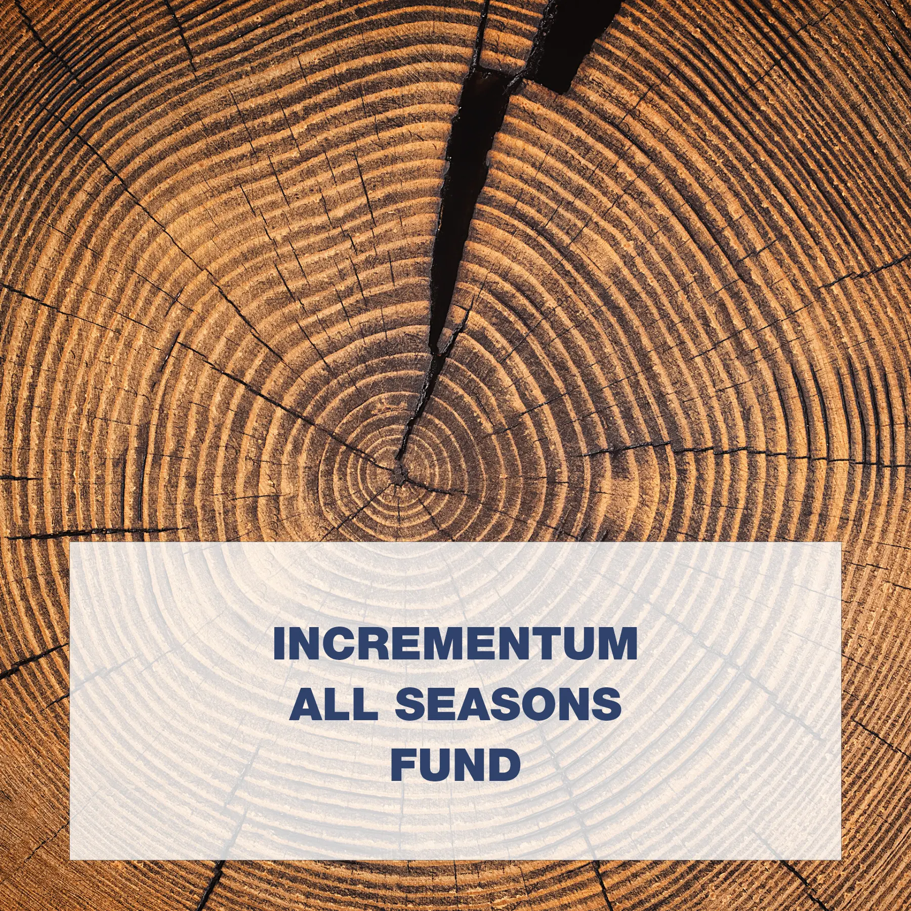 Hans G. Schiefen, Autor bei Incrementum